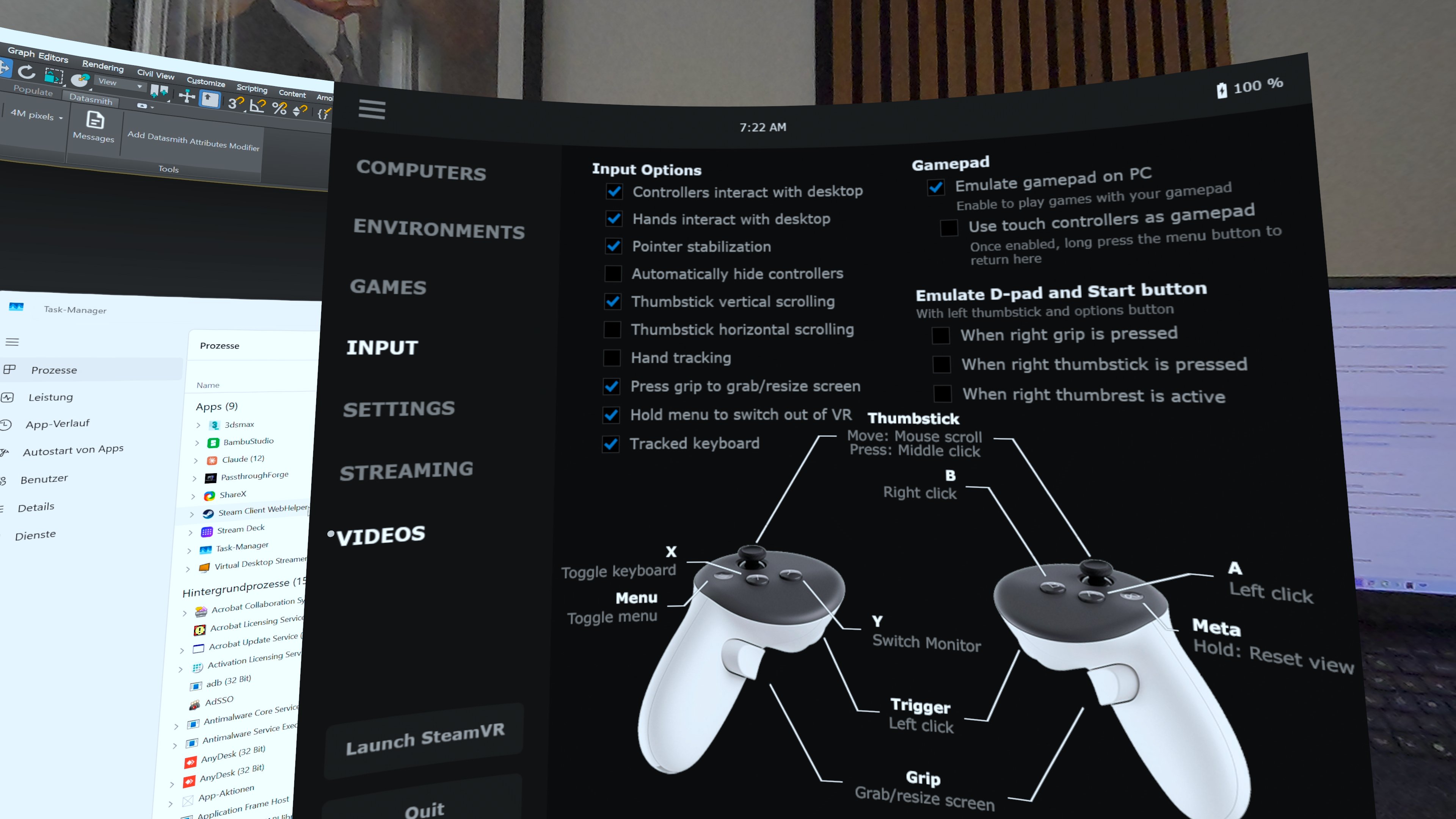 Virtual Desktop INPUT tab with 'Automatically hide controllers' un-ticked.